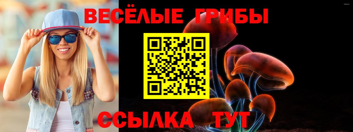 Галлюциногенные грибы MAGIC MUSHROOMS  Вход с VPN  Волгоград 